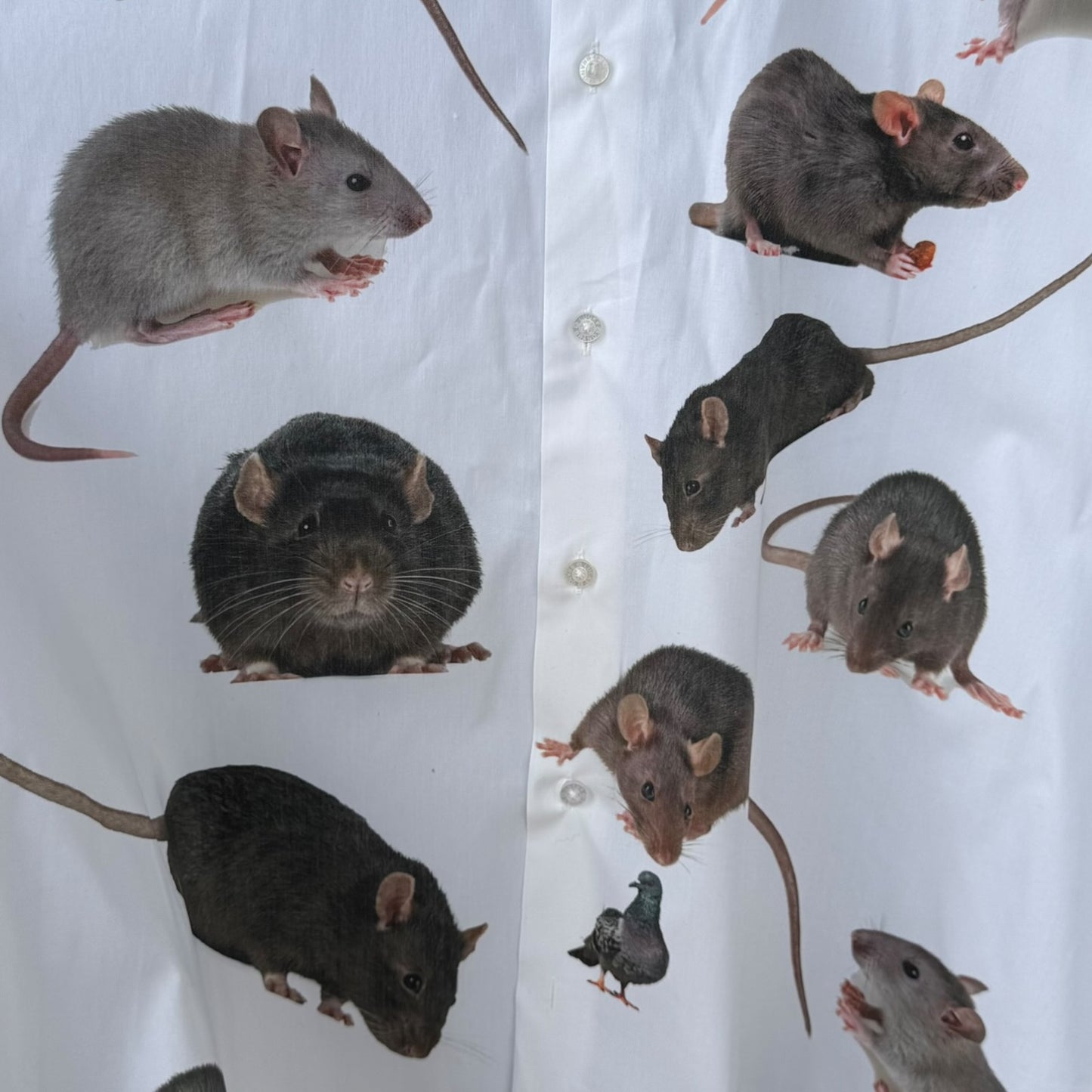 RATS THE WHITE SHIRT - MENS XL