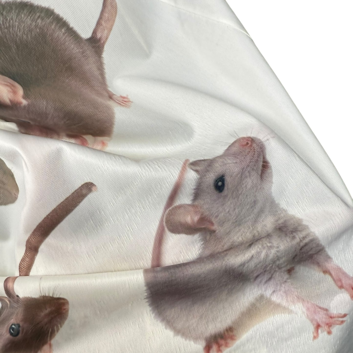 RAT WHITE LACE SLIP DRESS SAMPLE - M