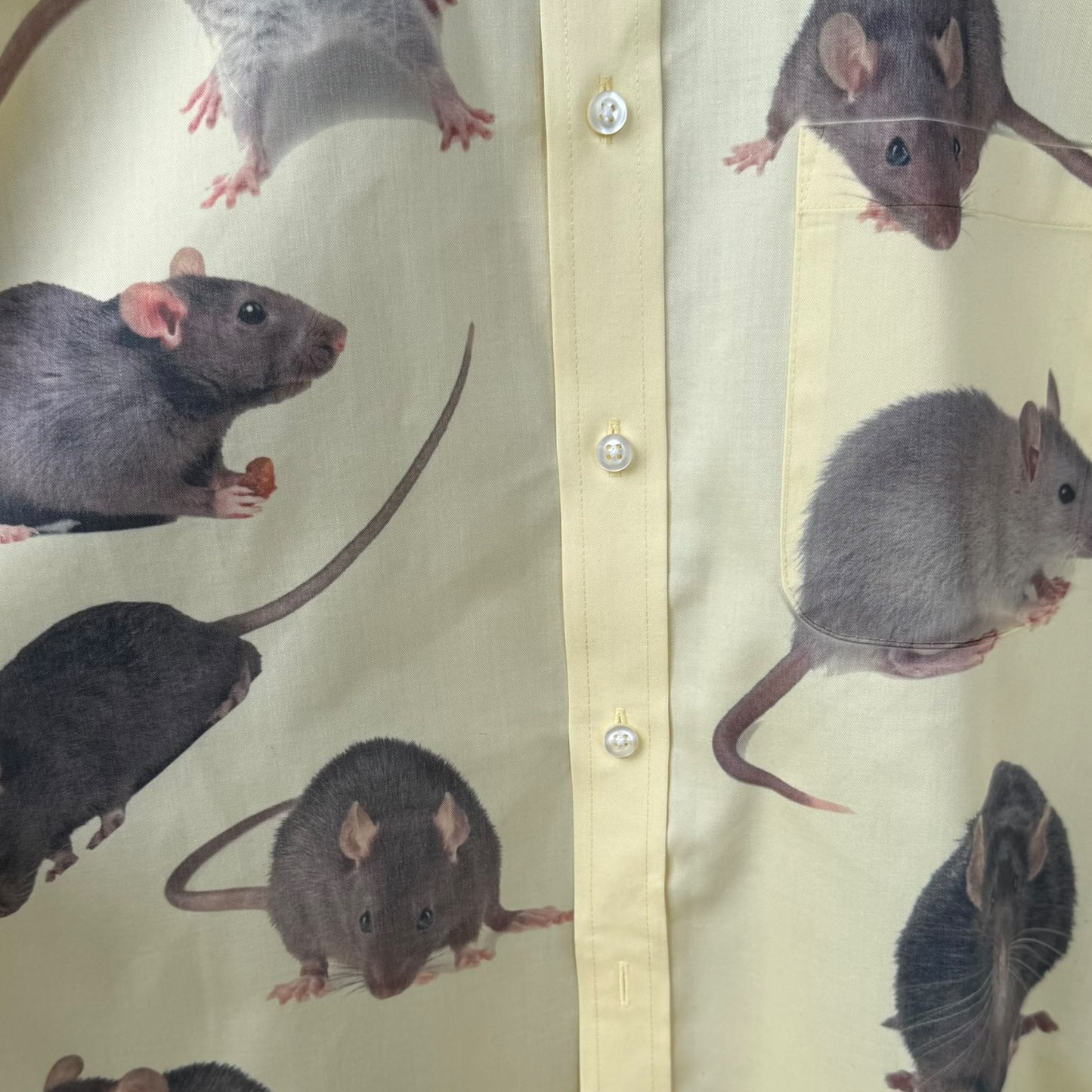 RATS THE YELLOW SHIRT - MENS S