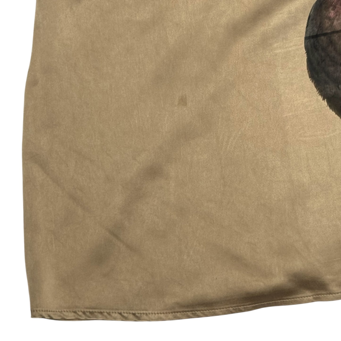 PIGEON CHAMPAGNE TANK TOP SAMPLE - 2X/3X