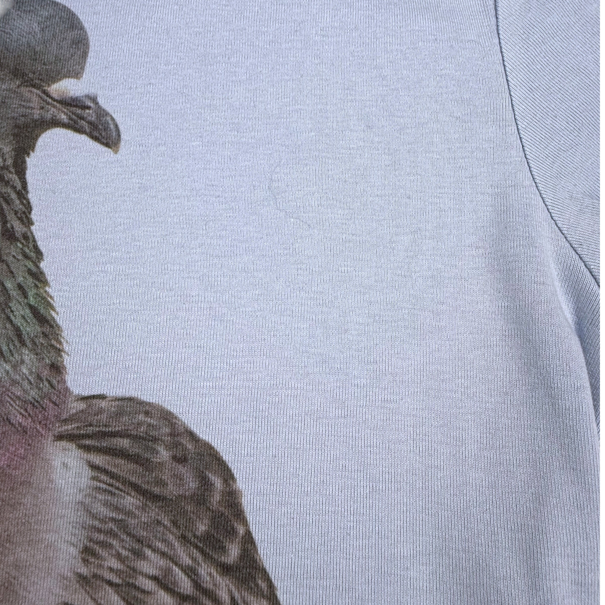 PIGEON BLUE BABY TEE - L