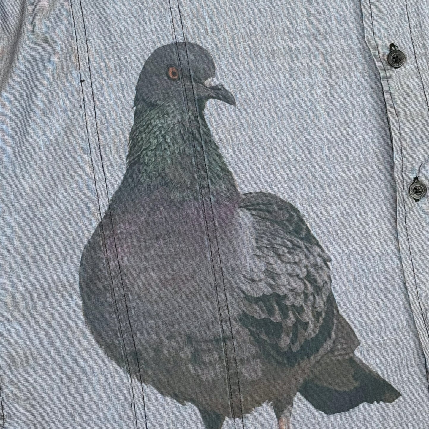 PIGEON GRAY BUTTON UP - MENS XL