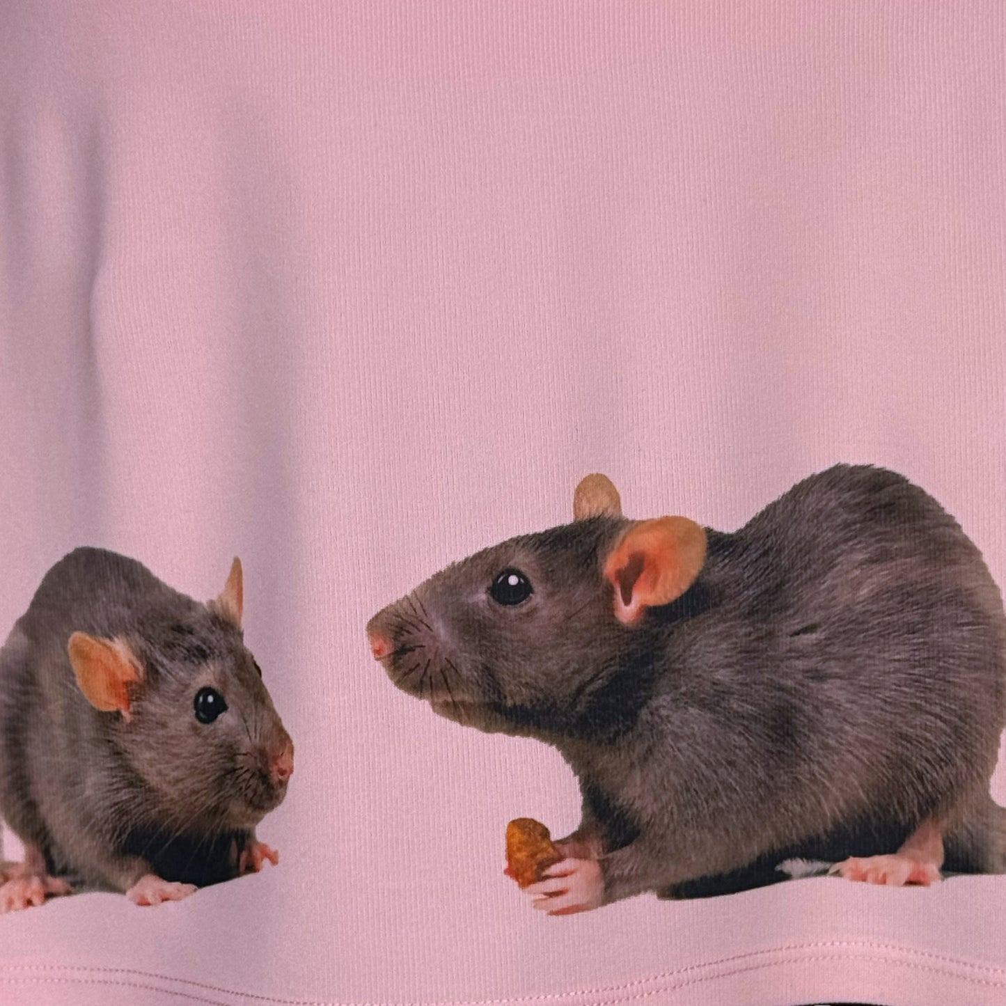 RAT LINEUP PINK DRESS SAMPLE - S