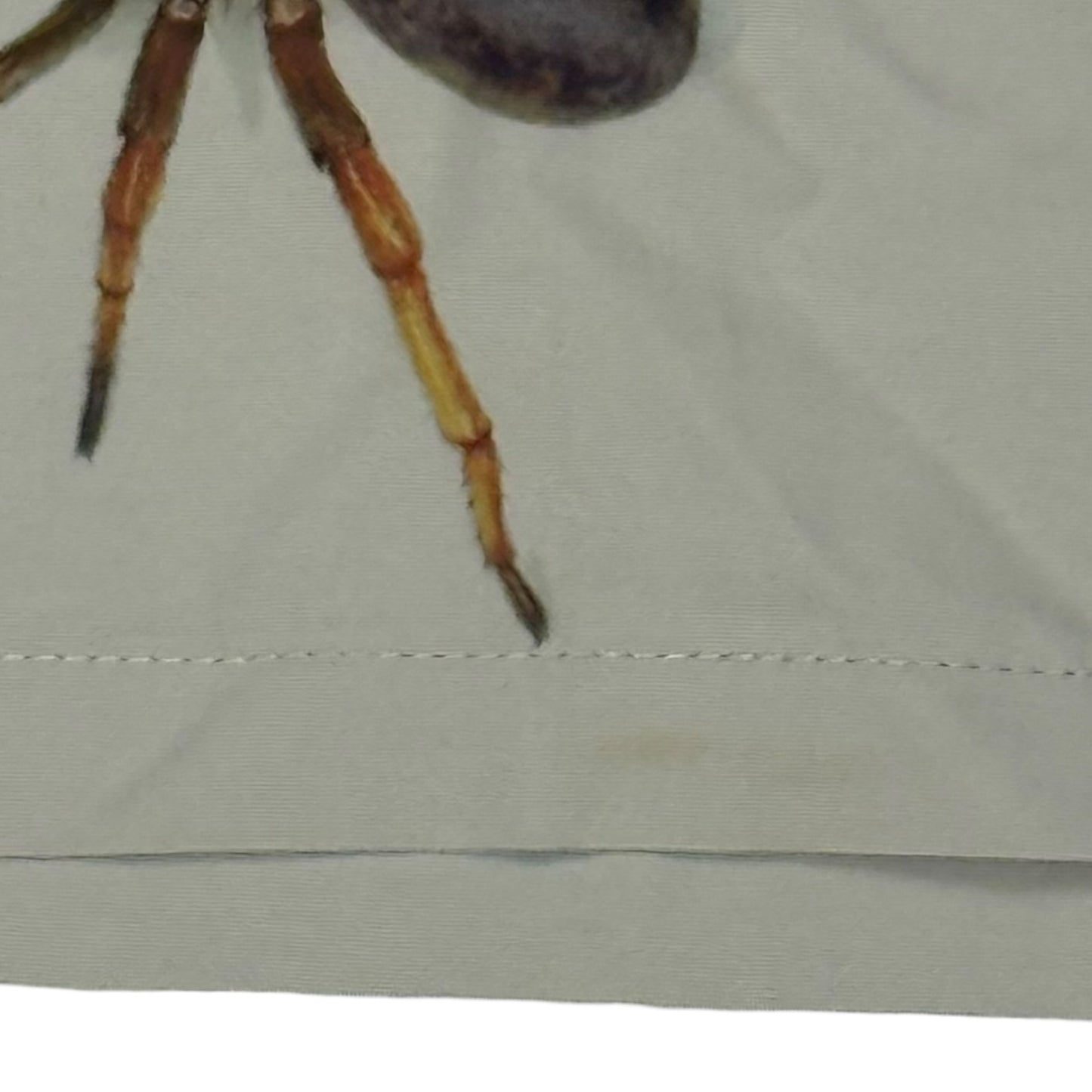 CREEPY CRAWLY TANK - XS