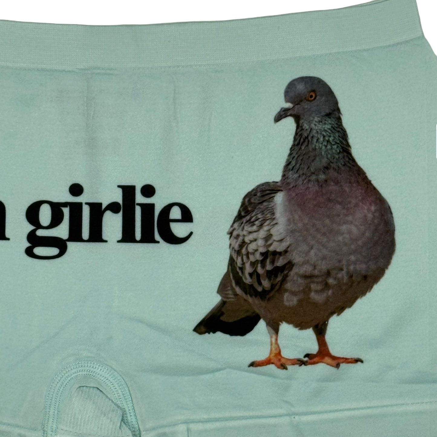 PIGEON GIRLIE SEAFOAM BOYSHORT UNDIES - M
