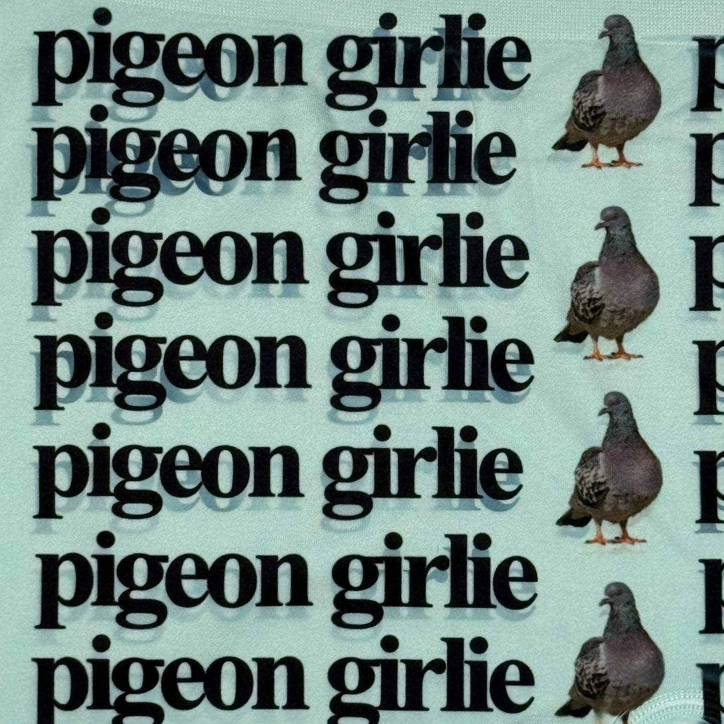 PIGEON GIRLIE SEAFOAM GREEN BOYSHORT UNDIES - 2XL