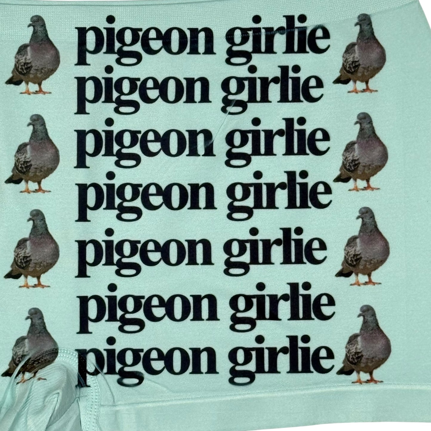PIGEON GIRLIE SEAFOAM GREEN BOYSHORT UNDIES - XL