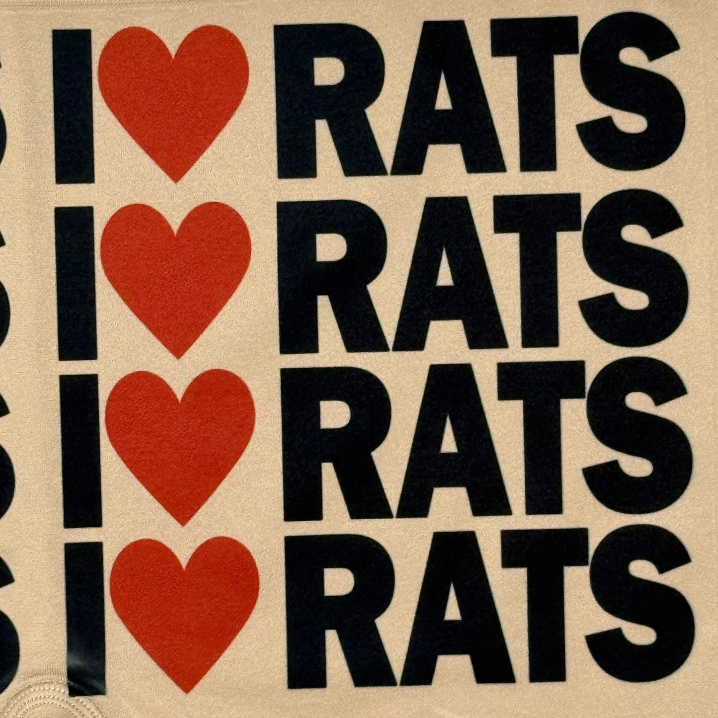 I <3 RATS NUDE BOYSHORT UNDIES - 2XL