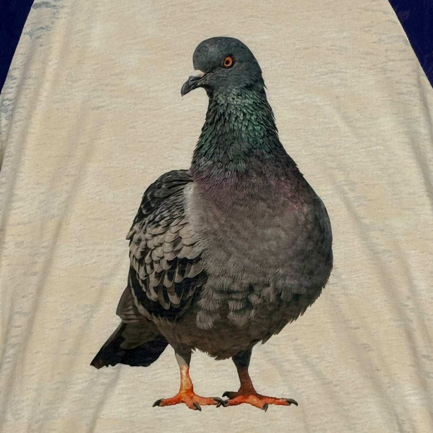 PIGEON BURNOUT RAGLAN - S