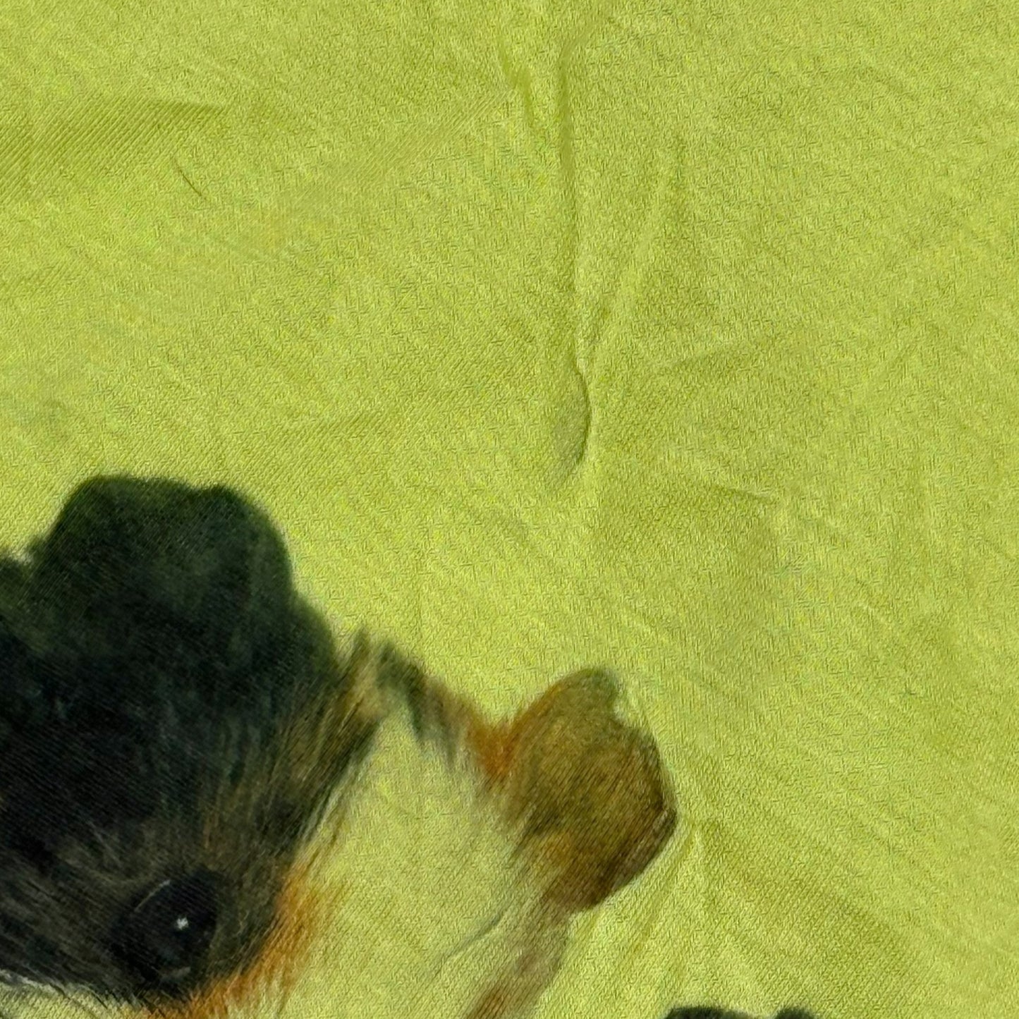 GUINEA PIGS CHARTRUSE WHIMSY BLOUSE