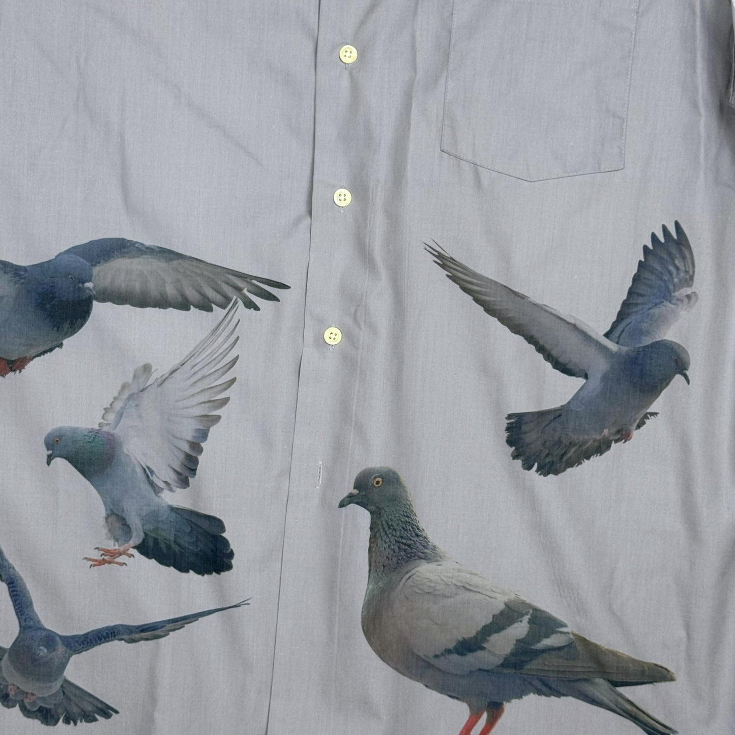 GRAY PIGEON BUTTON UP - MENS XL