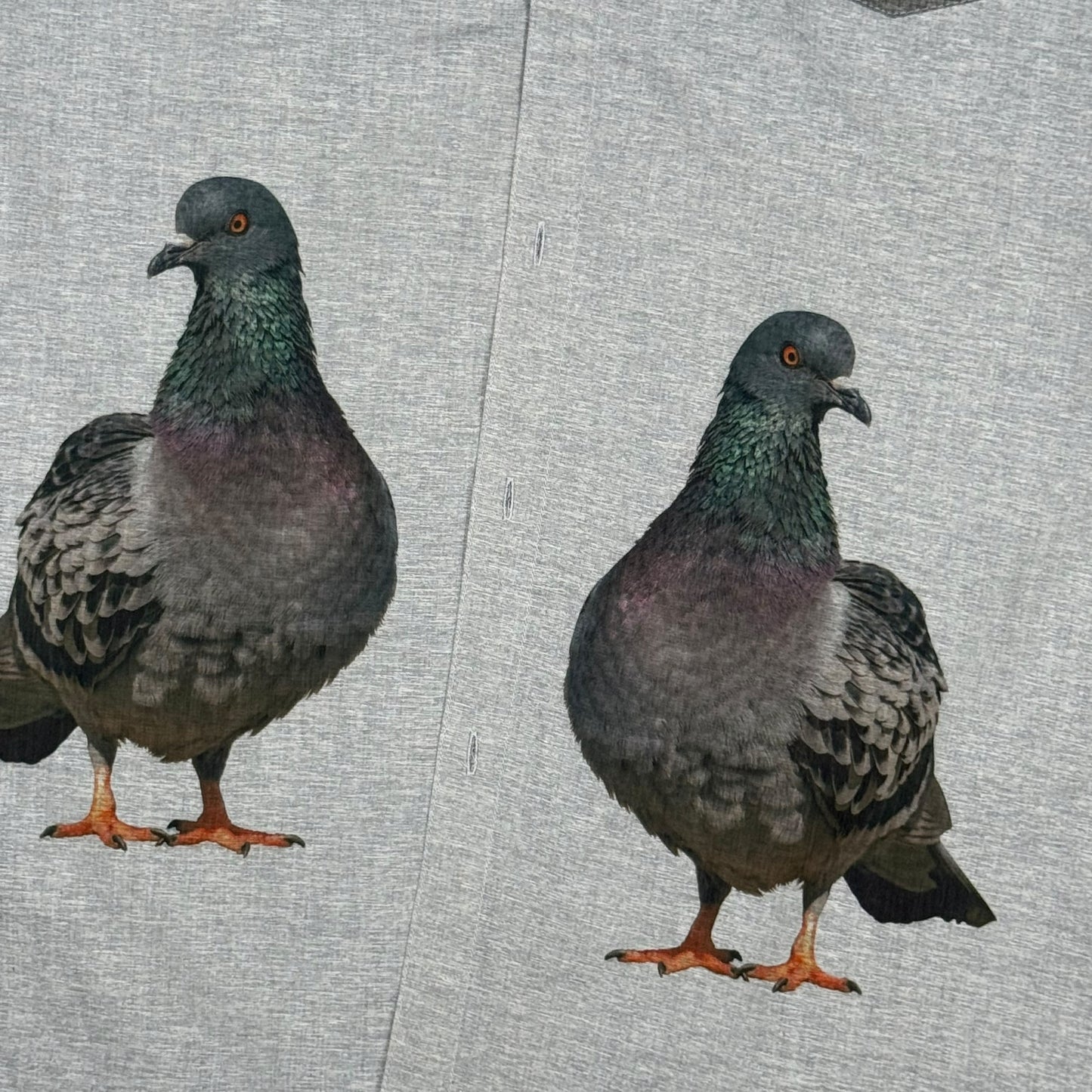 PIGEON TWO TONE GRAY - MENS 2XL