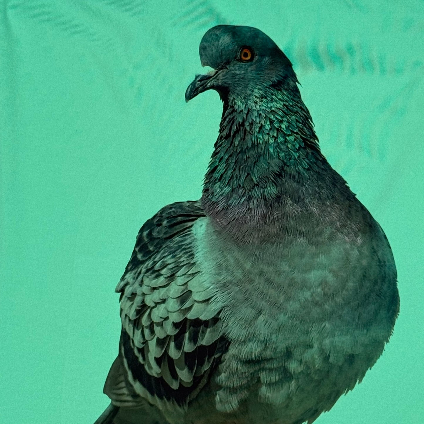 PIGEON GREEN TANK - 2X