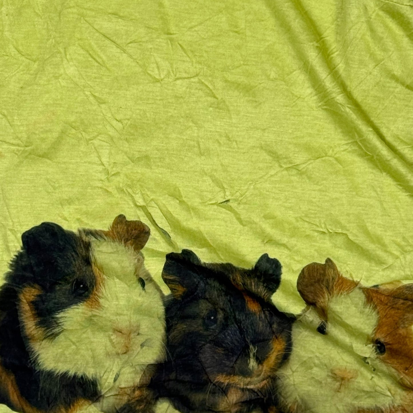 GUINEA PIG WHIMSY GREEN TOP - 2X/3X