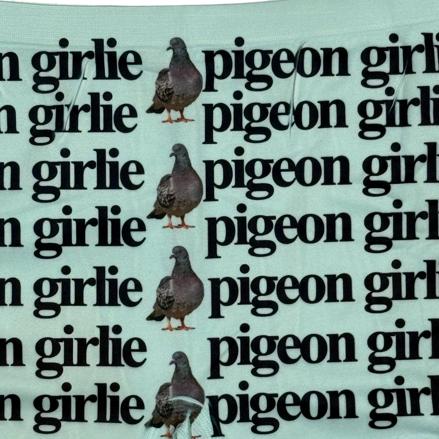 PIGEON GIRLIE SEAFOAM GREEN BOYSHORT UNDIES - 2XL