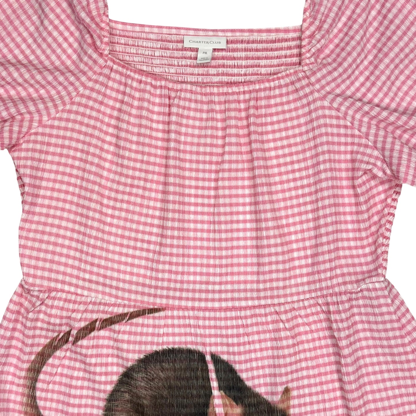 BIG RAT PINK GINGHAM DRESS - 2X