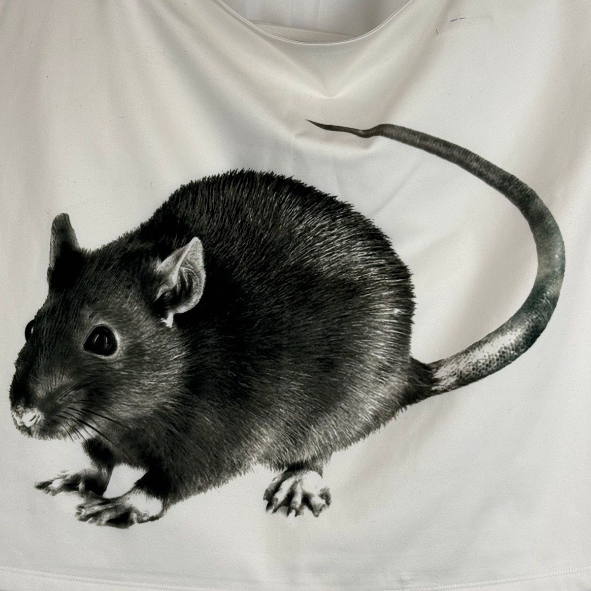 BIG RAT SAMPLE HALTER TANK - 4X