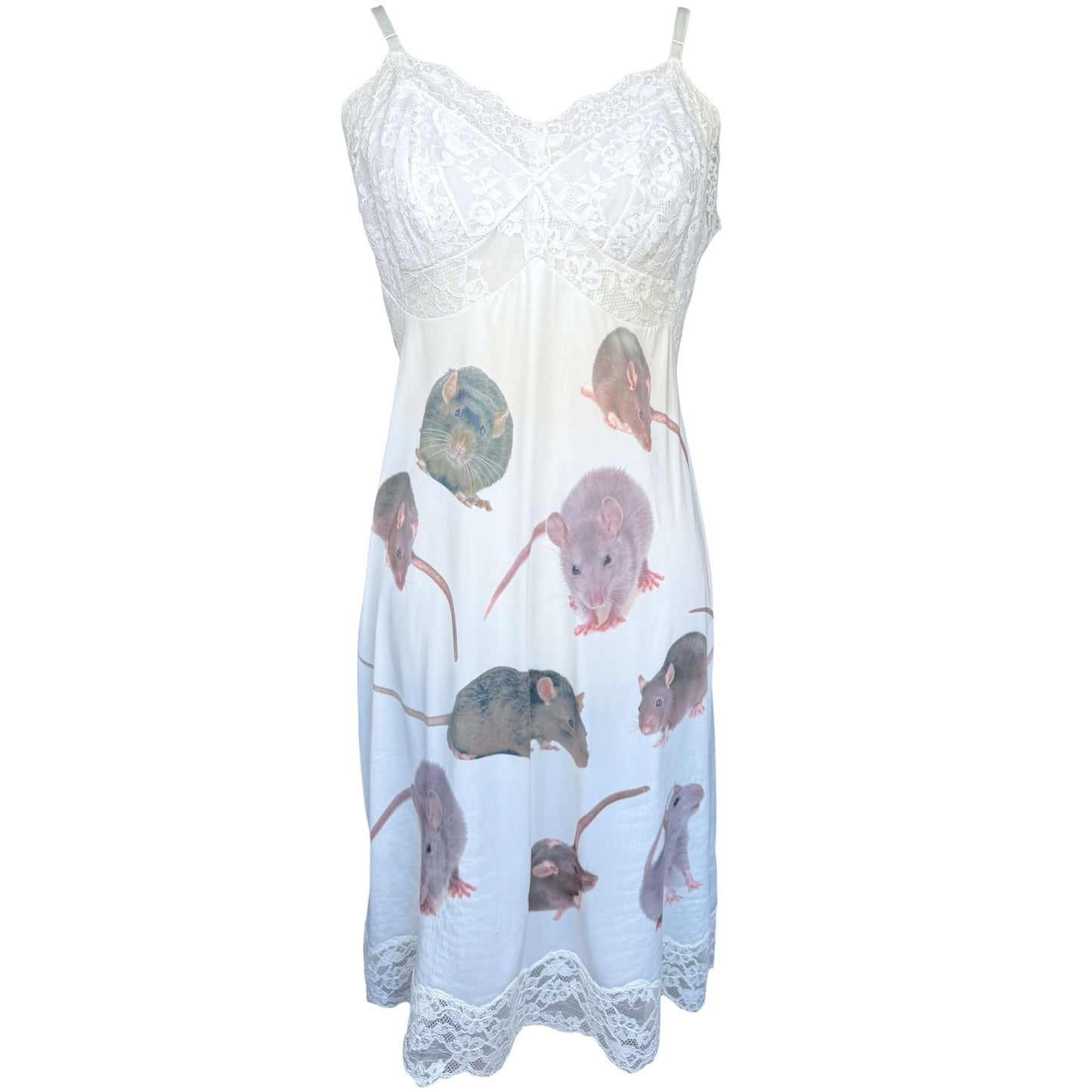 RAT WHITE LACE SLIP DRESS SAMPLE - M