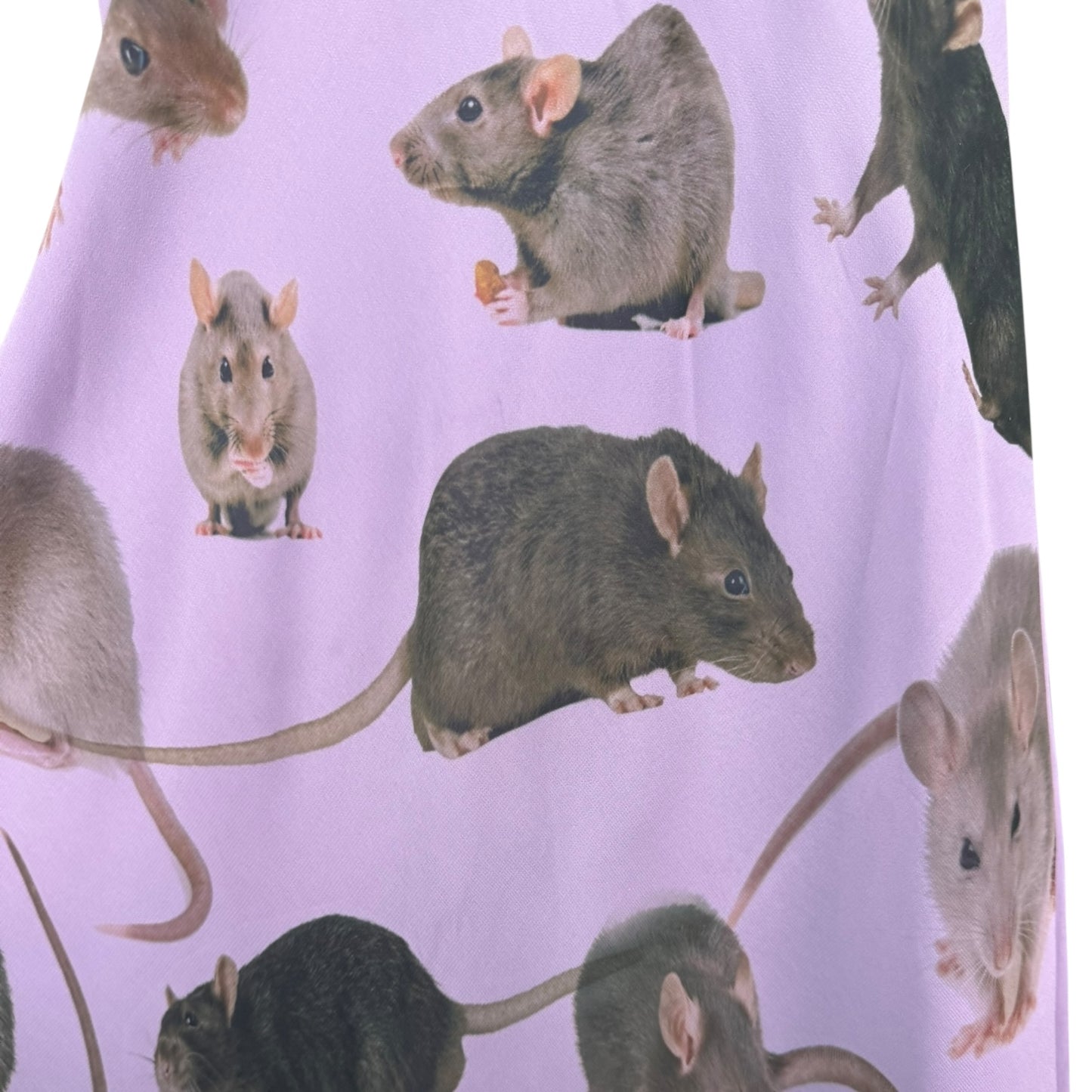 PURPLE RAT SLIP SAMPLE DRESS - XL