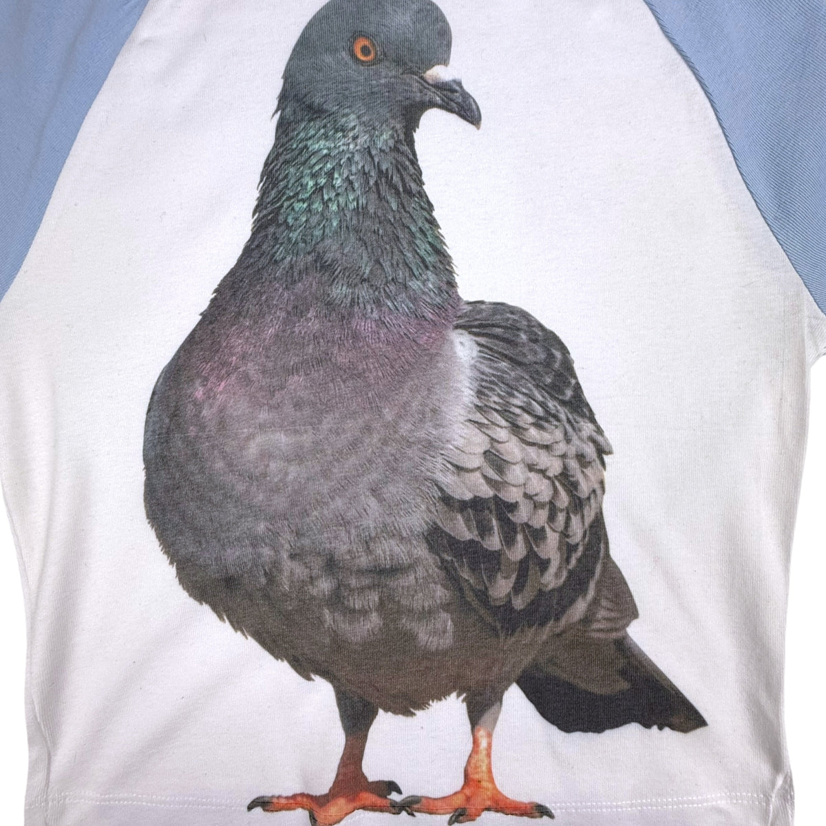 BLUE PIGEON BABY BASEBALL TEE *PRE-ORDER*