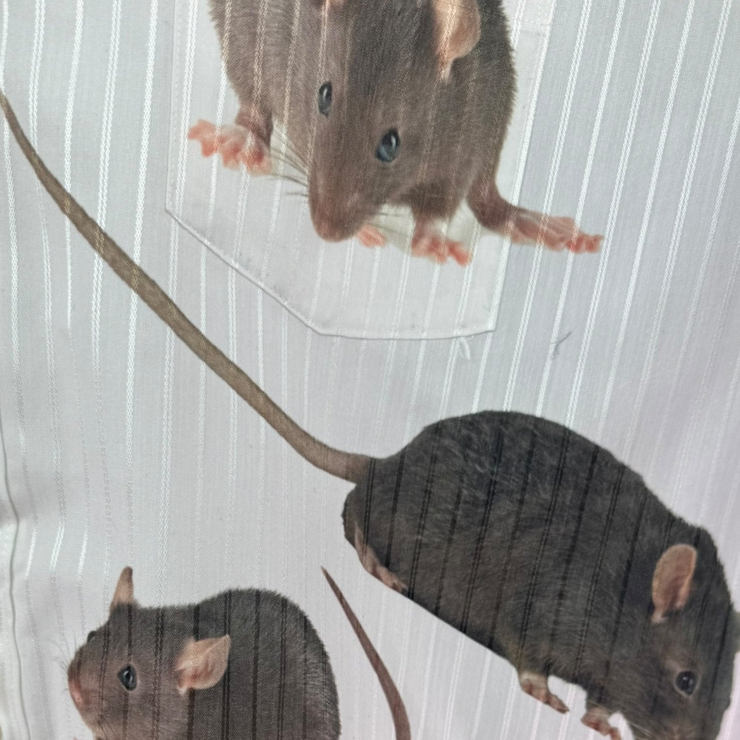 WHITE RAT BUTTON UP SAMPLE - XL