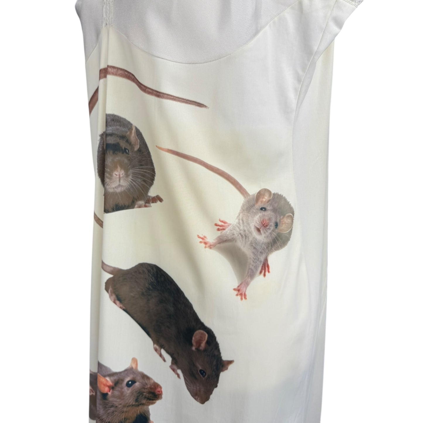 RAT WHITE LACE SLIP DRESS SAMPLE - M