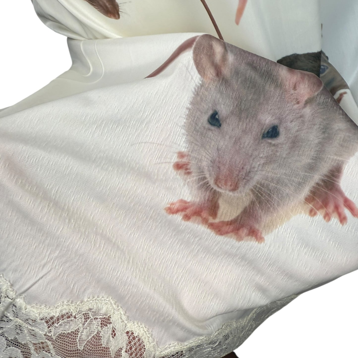 RAT WHITE LACE SLIP DRESS SAMPLE - M