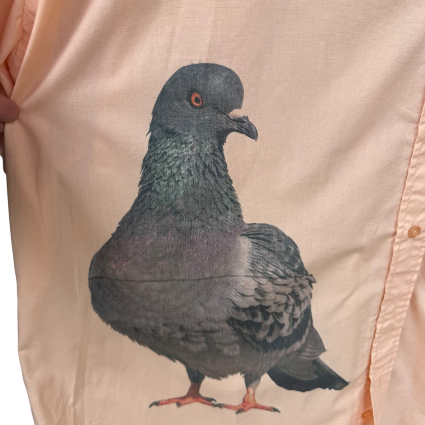 PIGEONS ARE PEACHY SHIRT -  MENS 5X