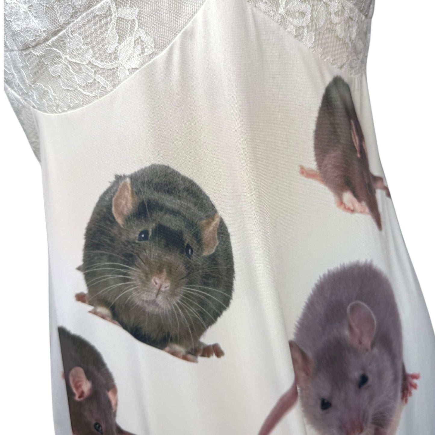 RAT WHITE LACE SLIP DRESS SAMPLE - M
