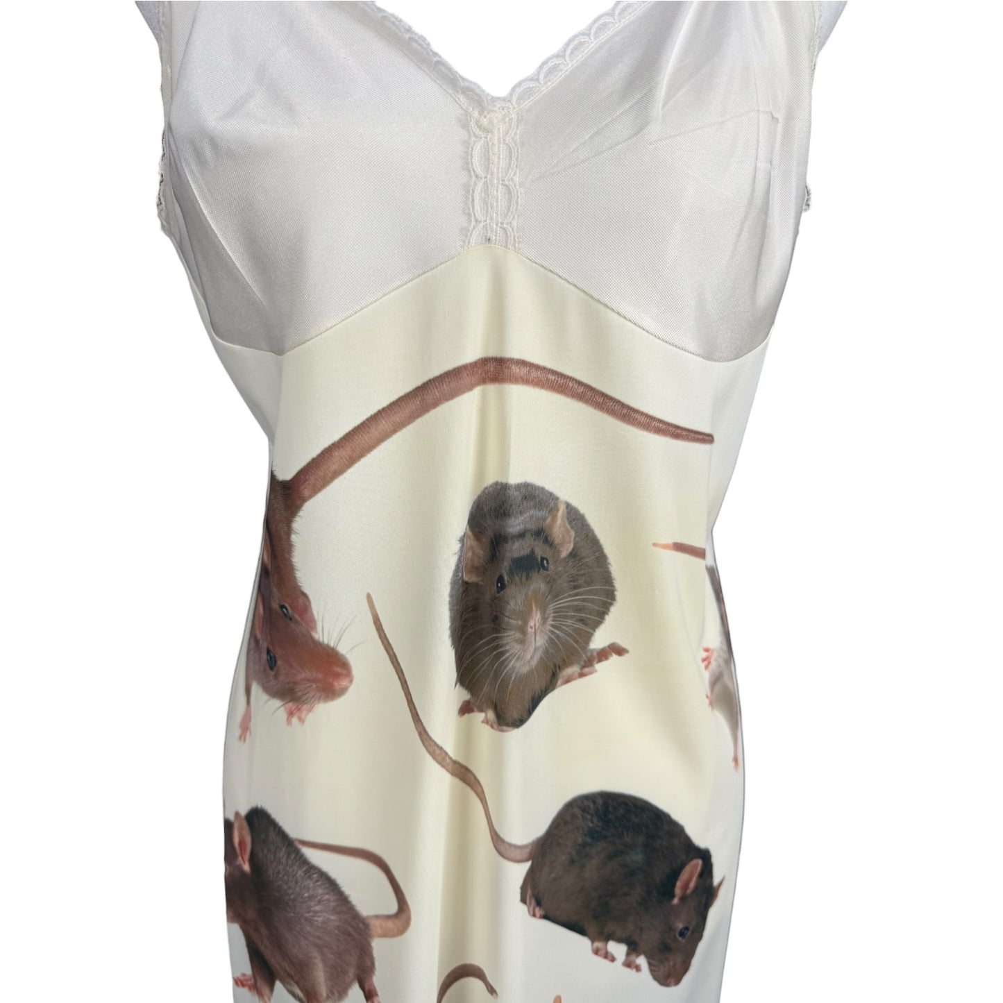 RAT WHITE LACE SLIP DRESS SAMPLE - M