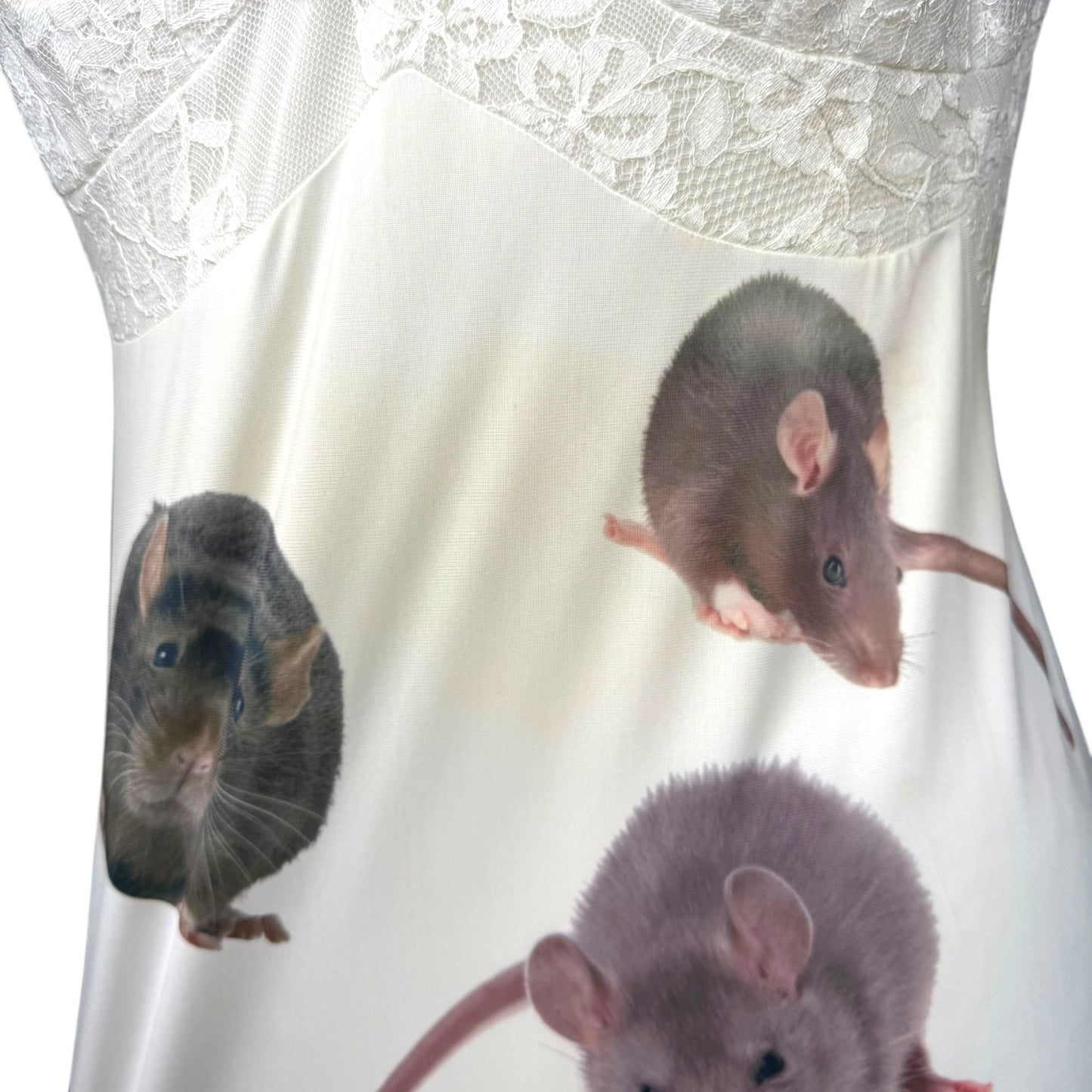 RAT WHITE LACE SLIP DRESS SAMPLE - M