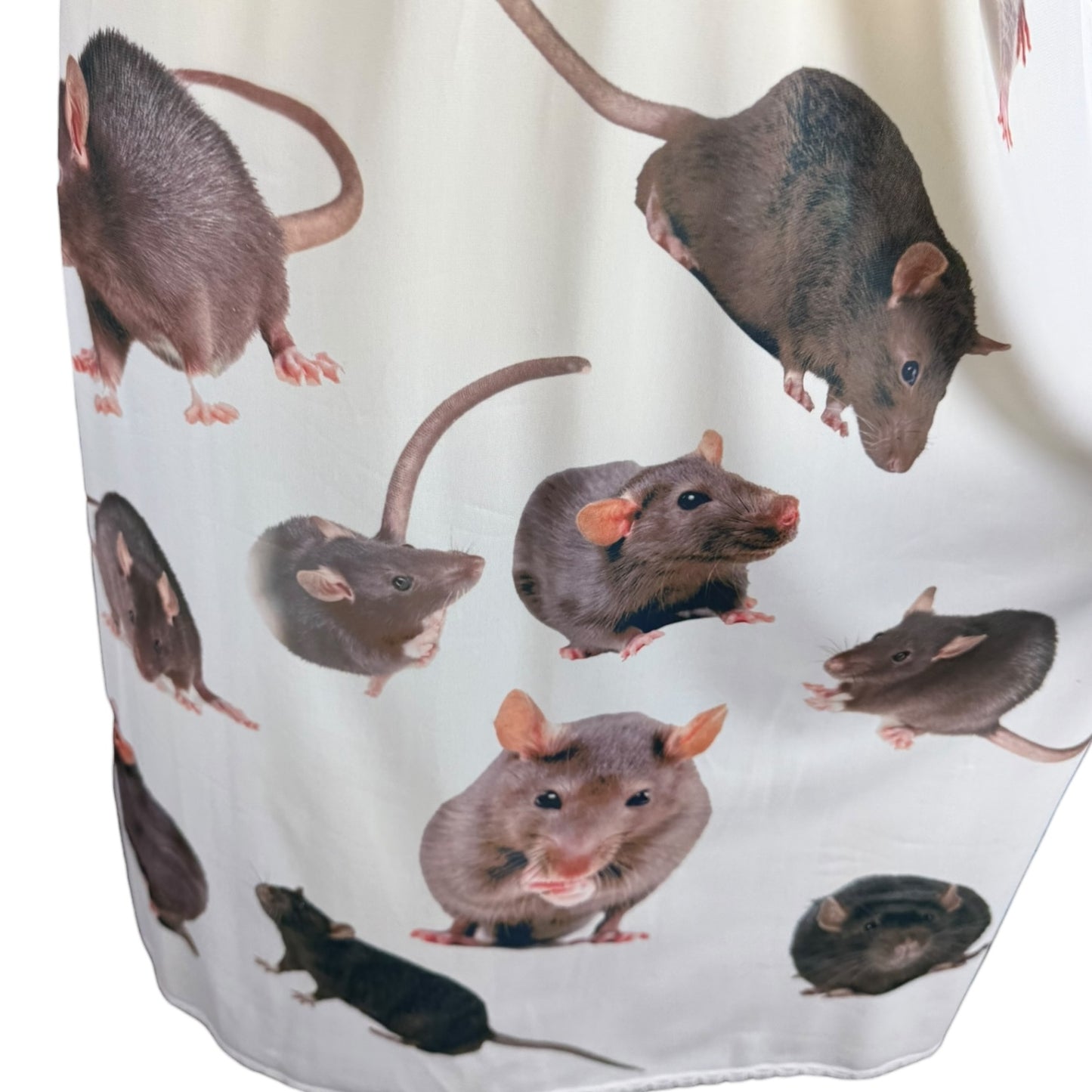 RAT WHITE LACE SLIP DRESS SAMPLE - M