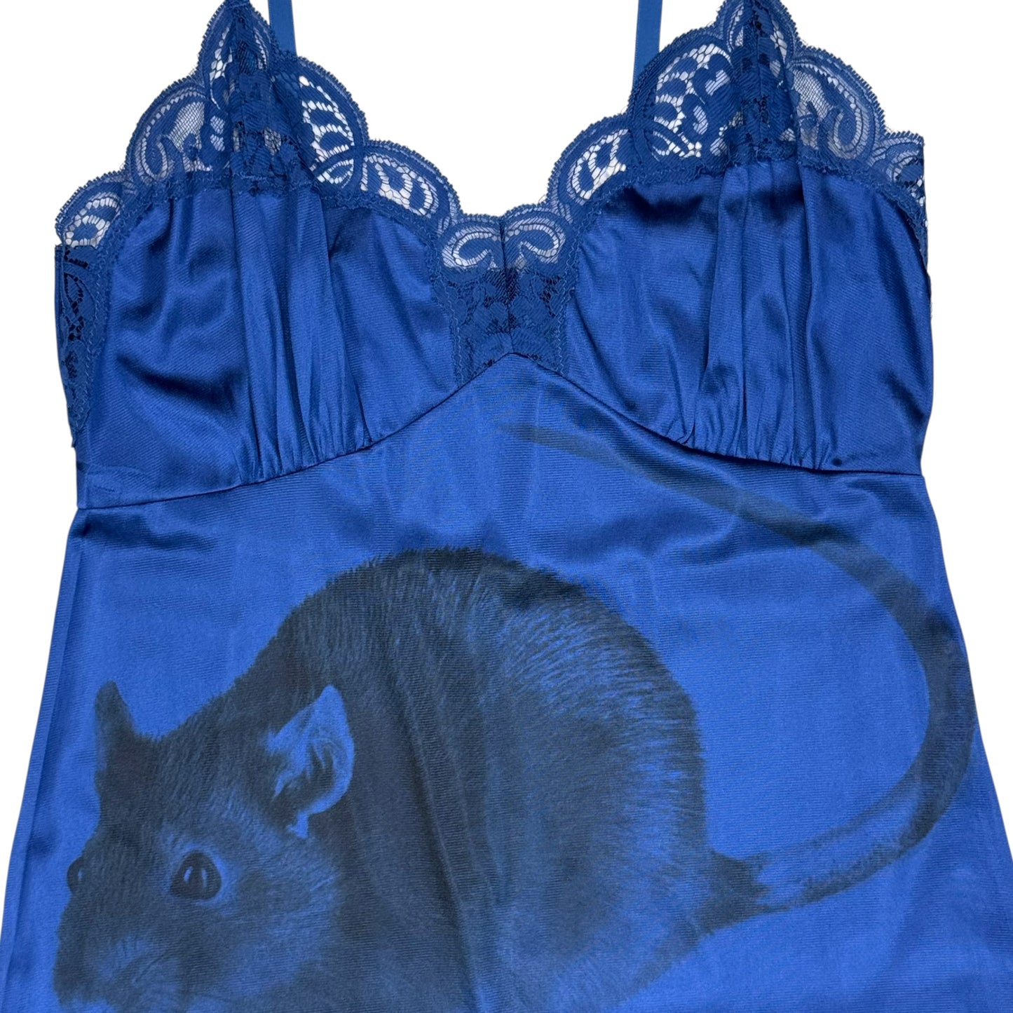 BIG RAT BLUE LACE DRESS - S