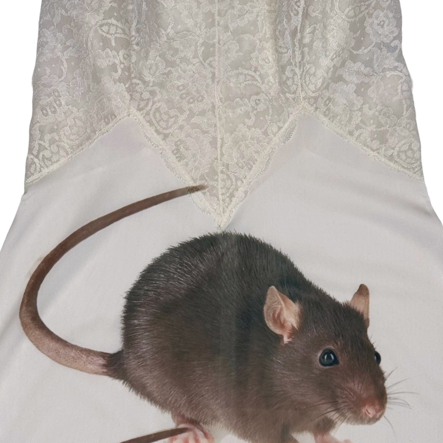 BIG RAT IVORY LACE DRESS - M