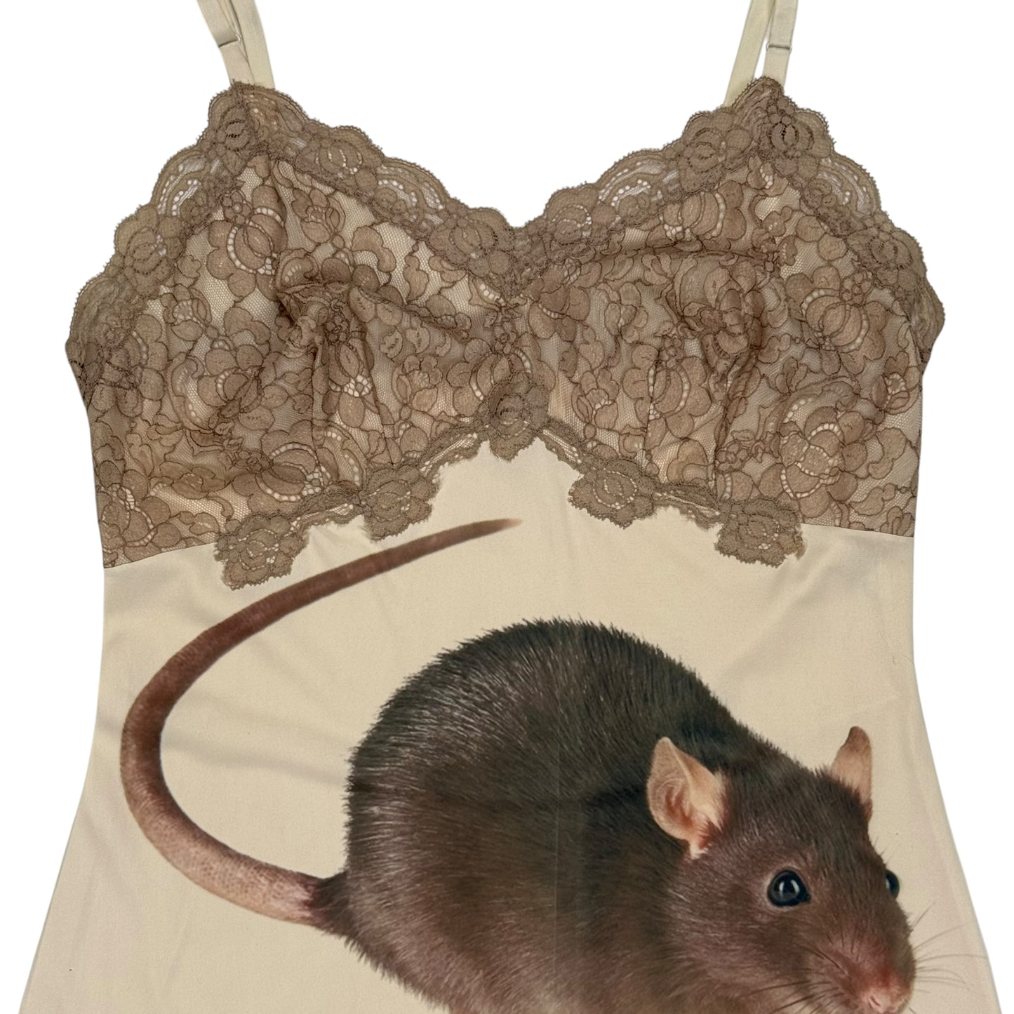 BIG RAT TAN LACE DRESS - S