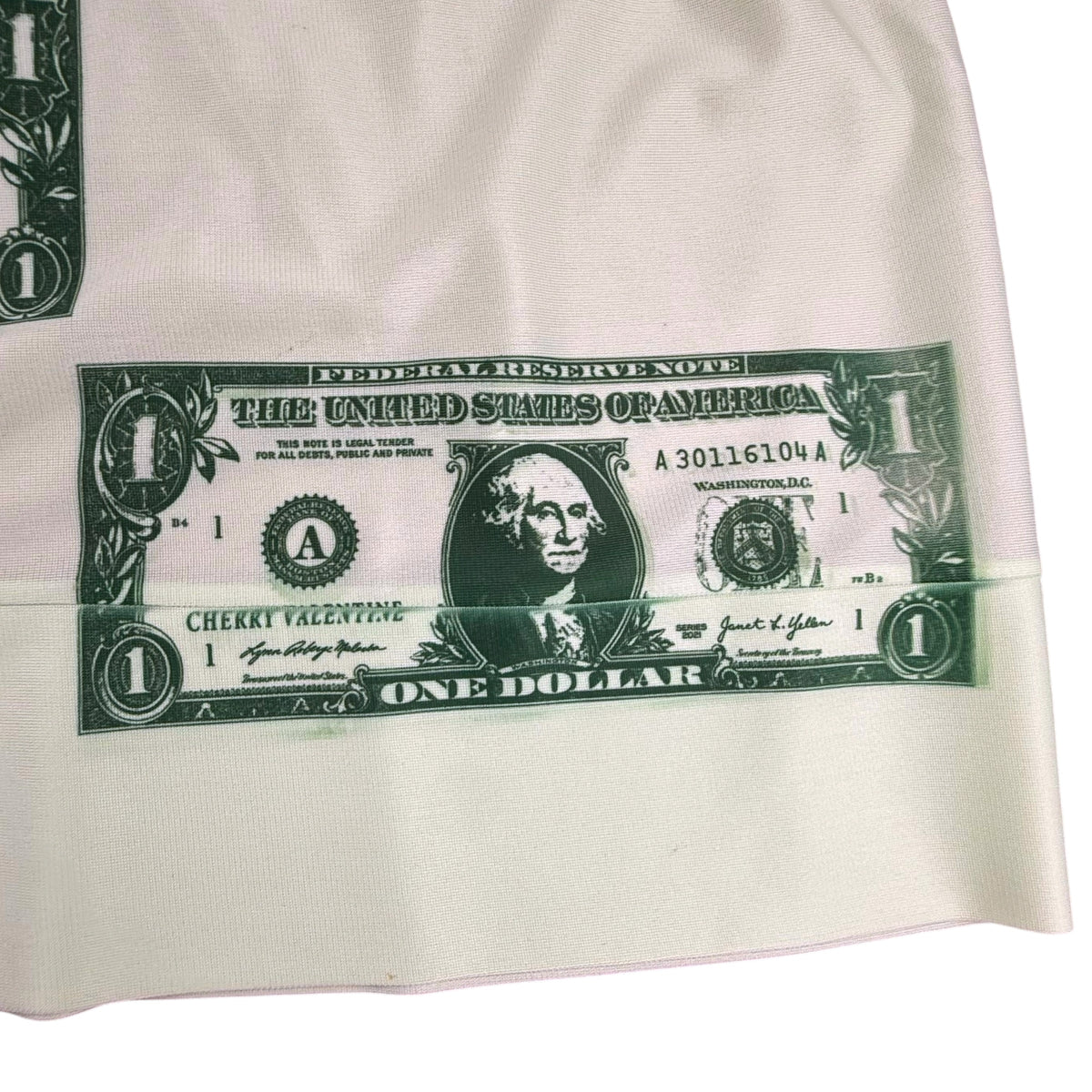 DOLLAR BILL MINI SKIRT - M