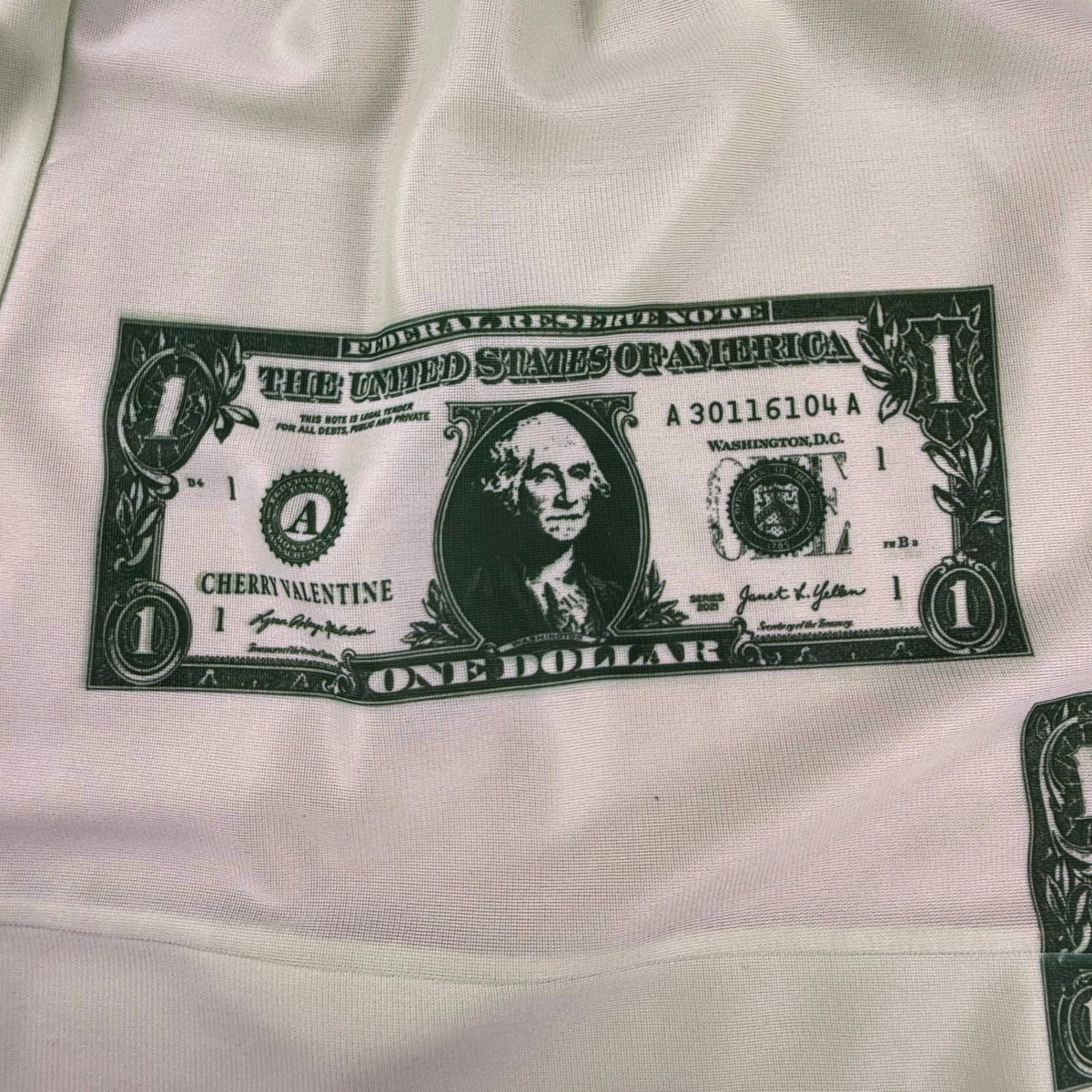 DOLLAR BILL MINI SKIRT - M