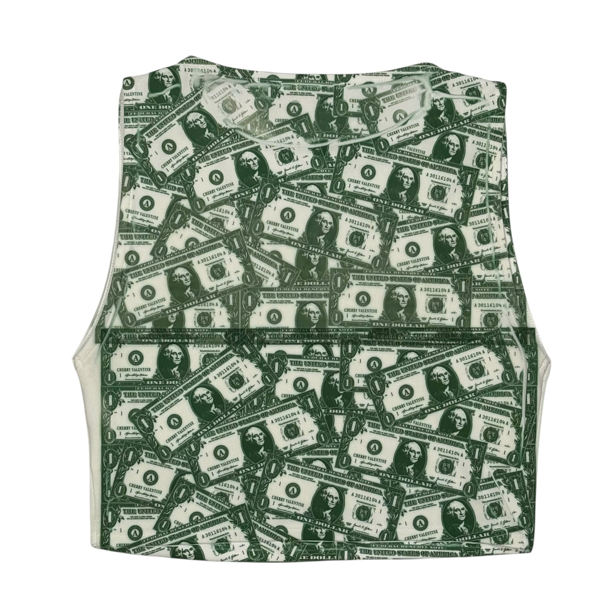 DOLLAR BILL TANK - M