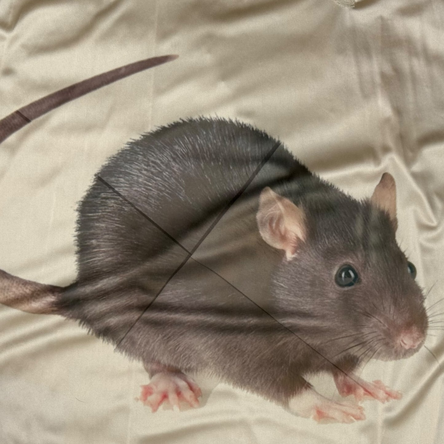 BIG RAT CREAM DRESS - XL/2X