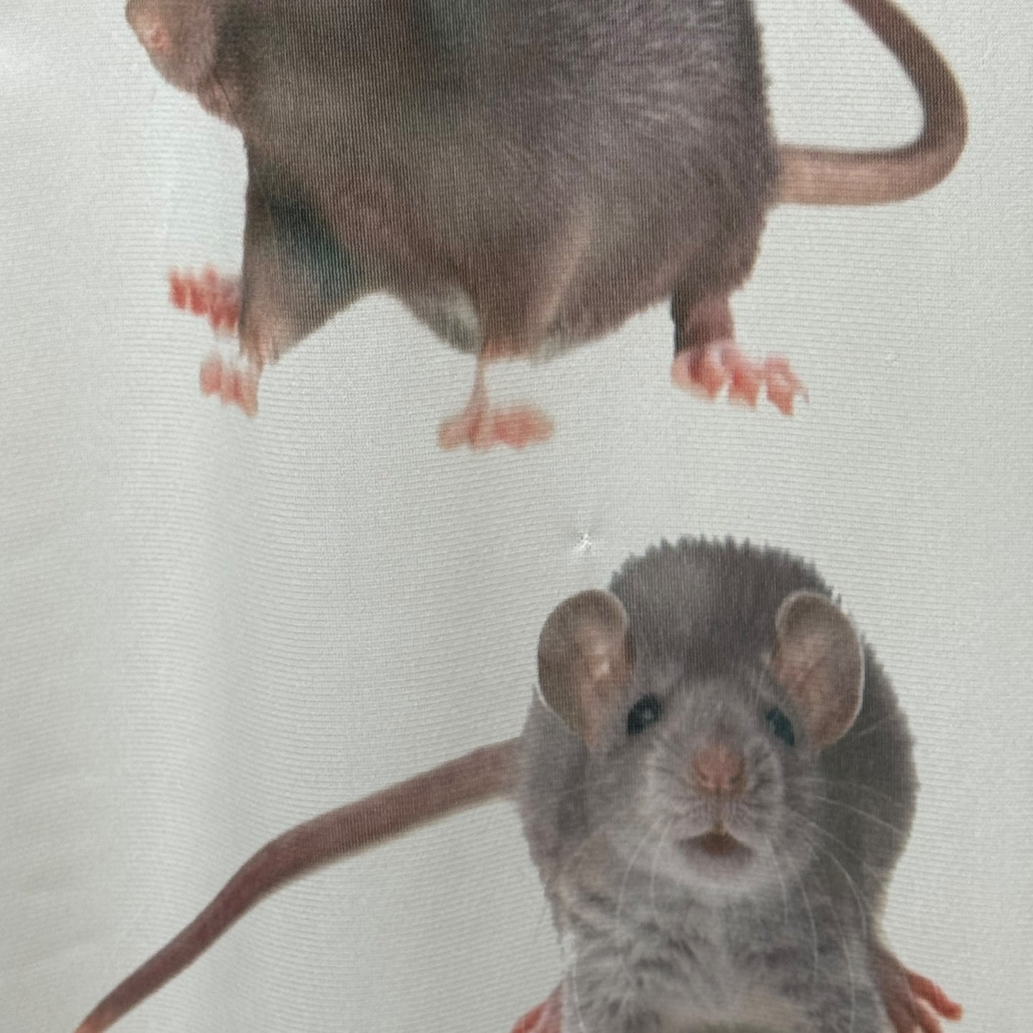 RATS THE LONG WHITE DRESS - S