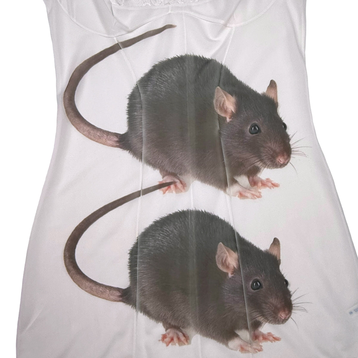 BIG BROWN RAT 2 WHITE LACE DRESS - M