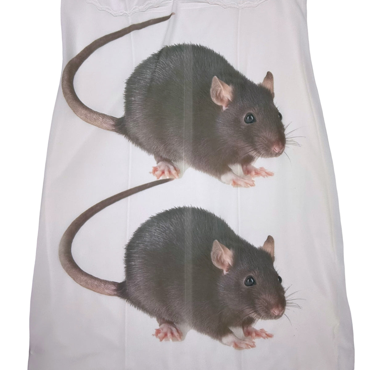 BIG BROWN RAT 2 WHITE FLOWER DRESS - S