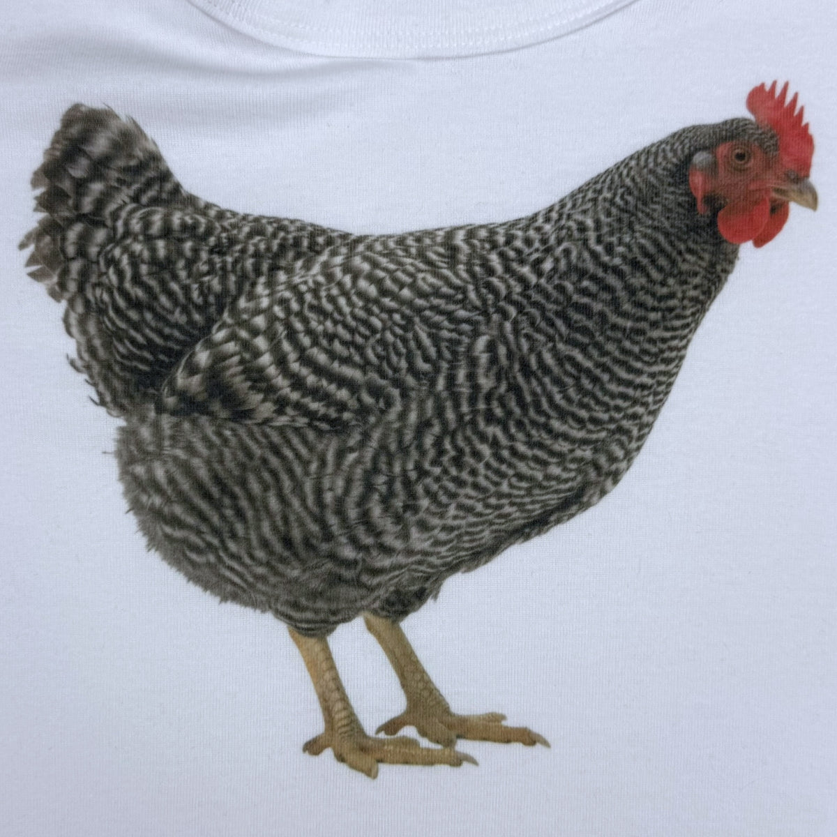 CHICKEN WHITE BABY TEE SAMPLE - M