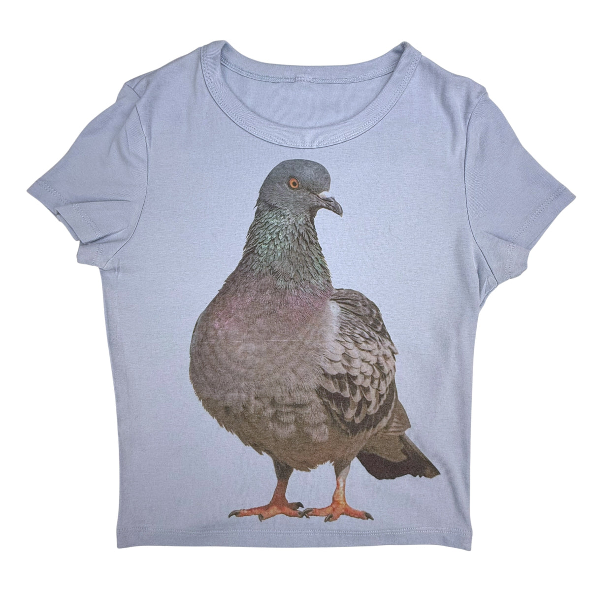 PIGEON BLUE BABY TEE - L