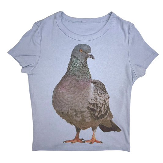 PIGEON BLUE BABY TEE - L