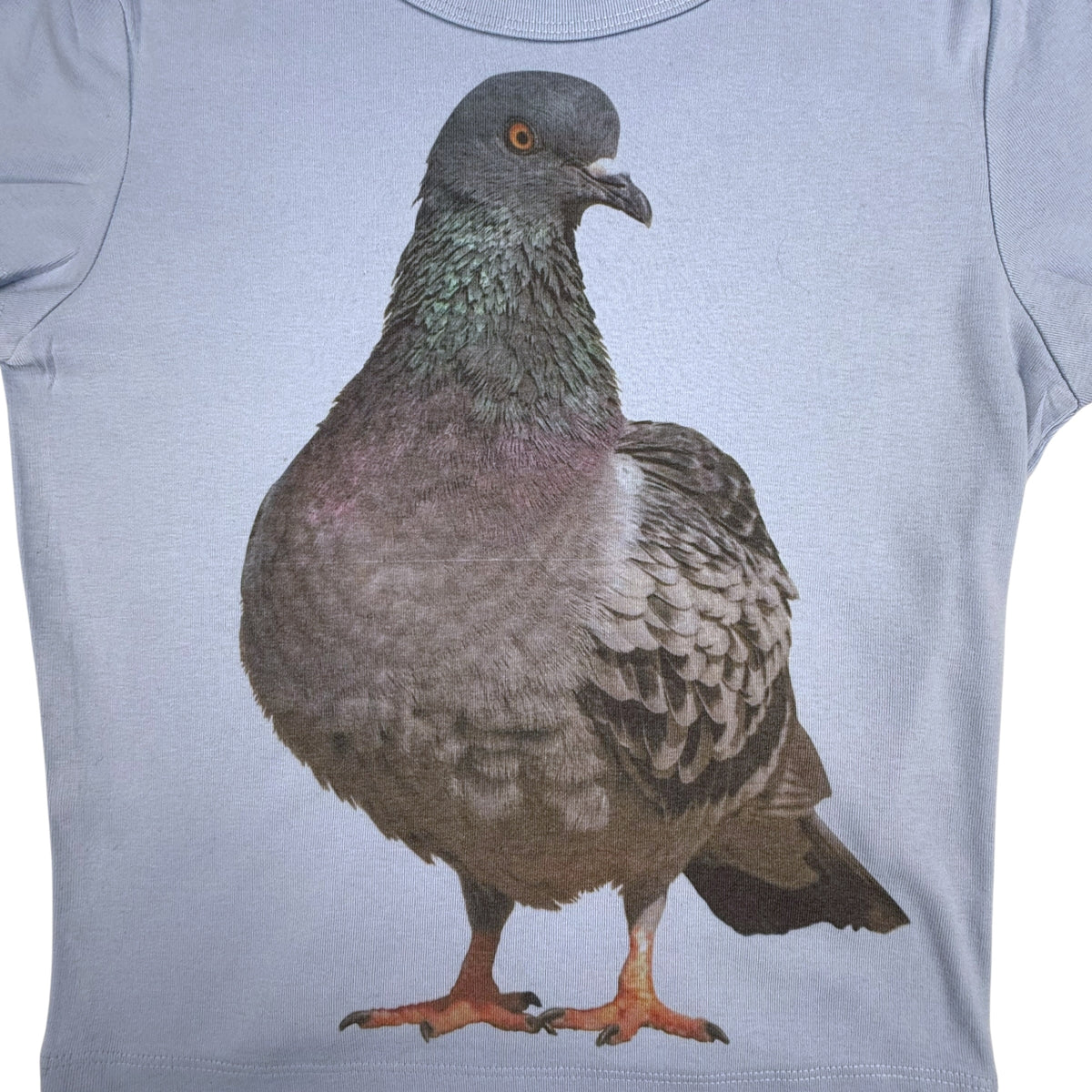 PIGEON BLUE BABY TEE - L