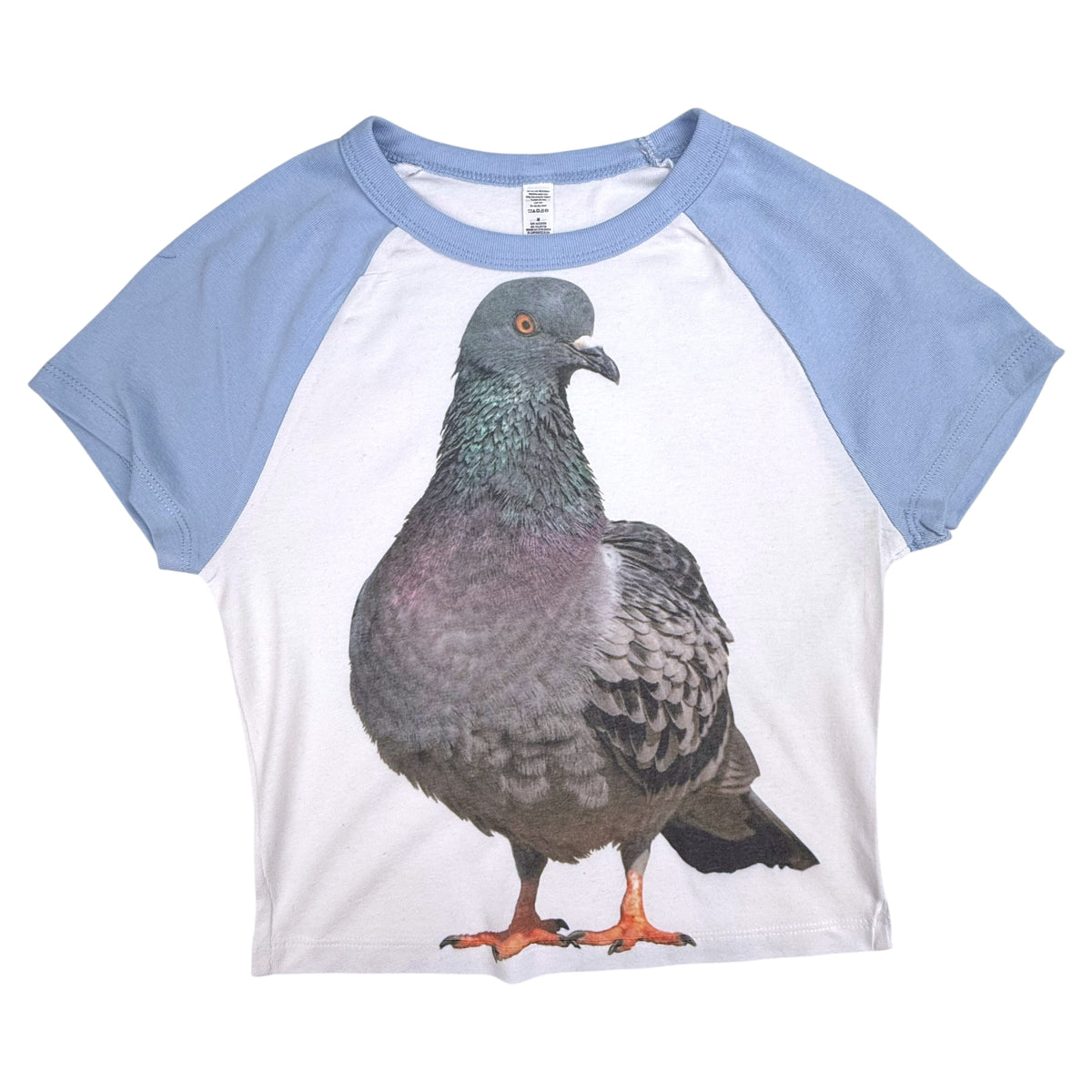 PIGEON BABY BLUE CROPPED TEE - M