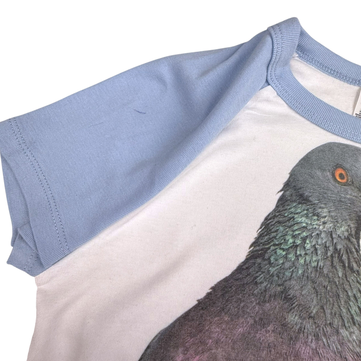 PIGEON BABY BLUE CROPPED TEE - M