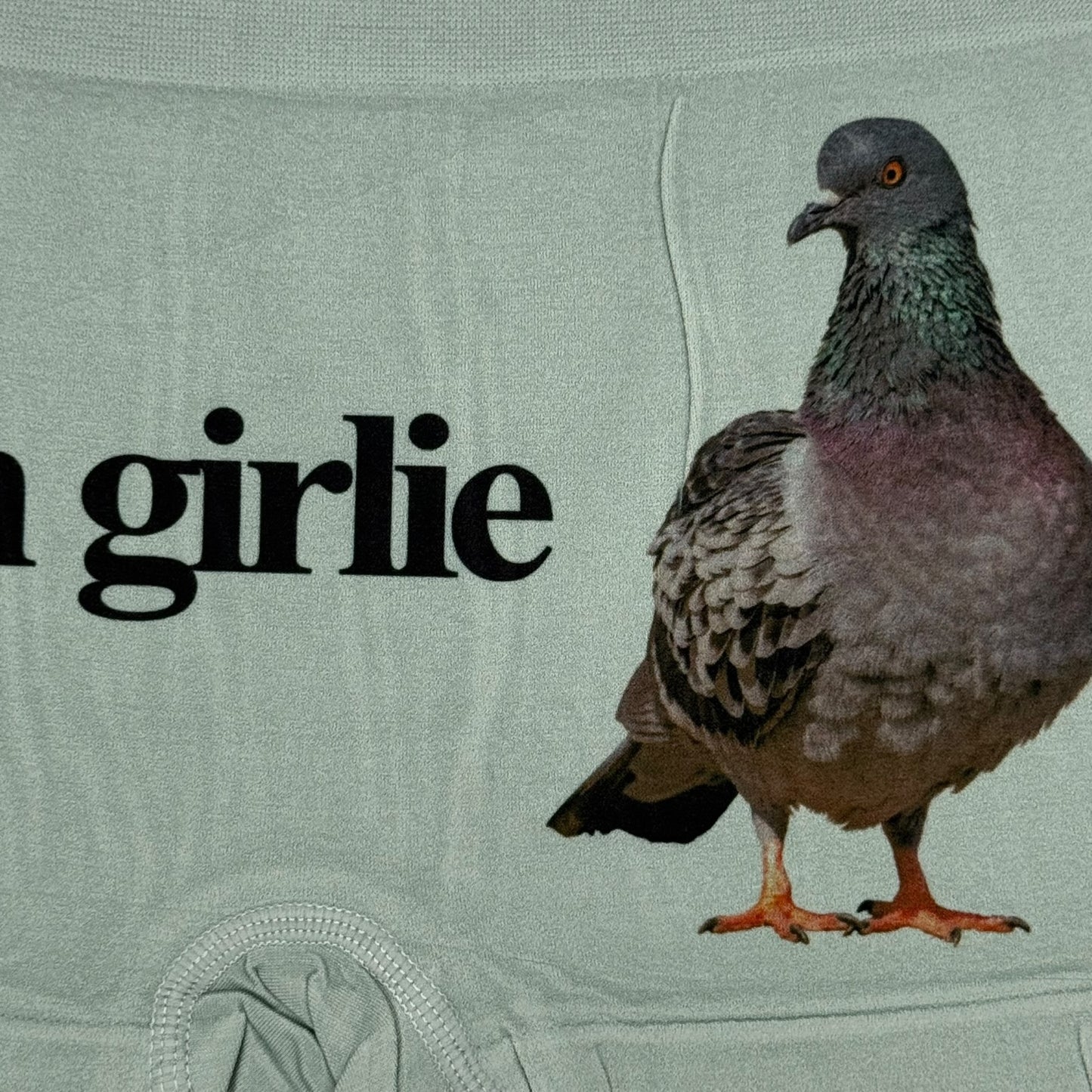 PIGEON GIRLIE GREEN BOYSHORT UNDIES - XL
