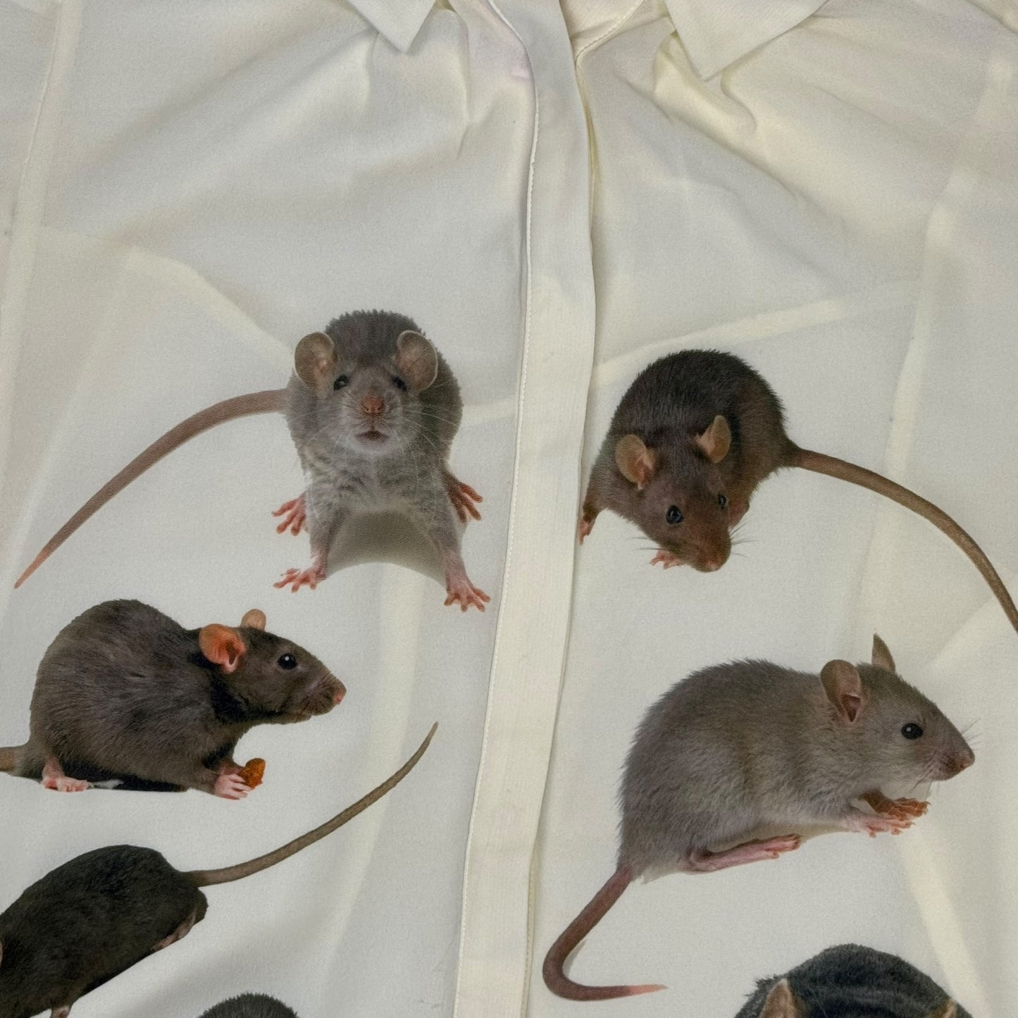 RATS EVERYWHERE BATWING BLOUSE - L